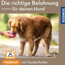 Die richtige Belohnung für deinen Hund