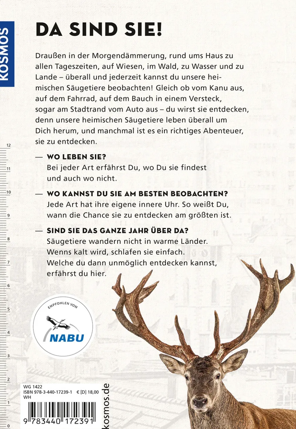 Die siehst du - Die Tiere um dich herum