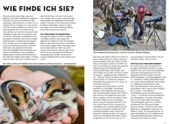 Die siehst du - Die Tiere um dich herum