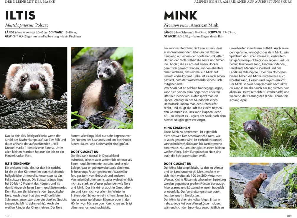 Die siehst du - Die Tiere um dich herum