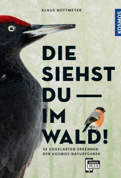 Die siehst du im Wald! 64 Vogelarten erkennen