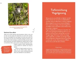 Die Superkräfte der Vögel