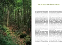Die Weisheit der Baumwesen