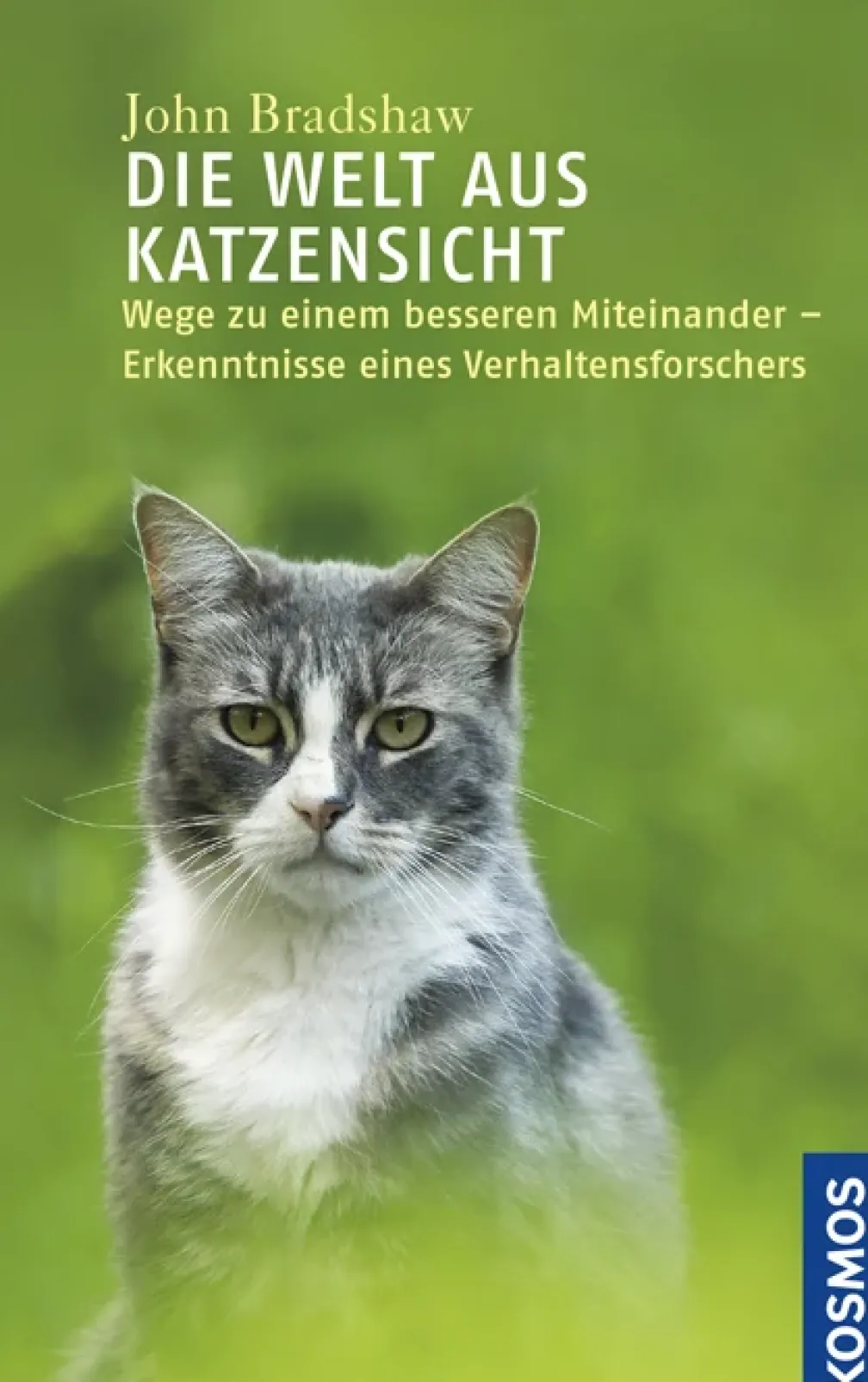 Die Welt aus Katzensicht