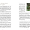 Die Welt der Naturgeister - Das Arbeitsbuch