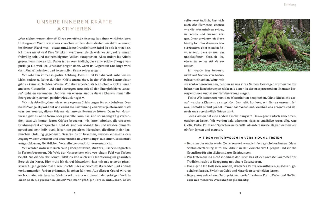 Die Welt der Naturgeister - Das Arbeitsbuch
