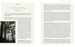 Die Welt der Naturgeister - Das Arbeitsbuch
