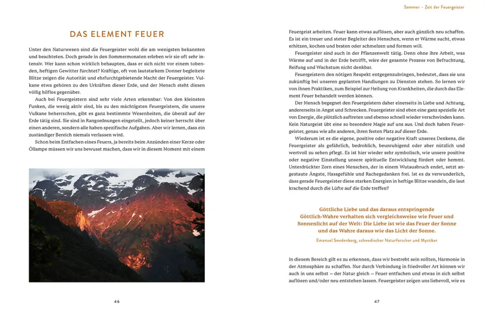 Die Welt der Naturgeister - Das Arbeitsbuch