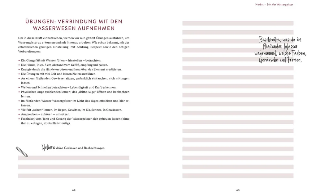 Die Welt der Naturgeister - Das Arbeitsbuch