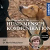 Die Wissenschaft zur Hund-Mensch-Kommunikation