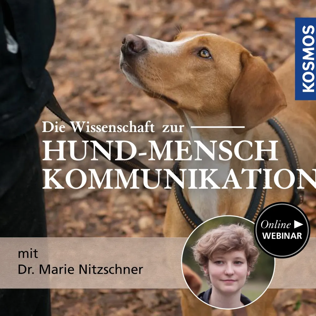 Die Wissenschaft zur Hund-Mensch-Kommunikation