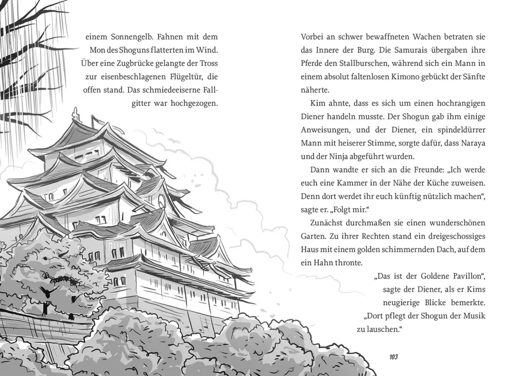 Die Zeitdetektive, 6, Die Rache des Ninjas