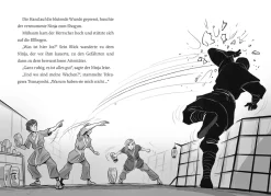 Die Zeitdetektive, 6, Die Rache des Ninjas