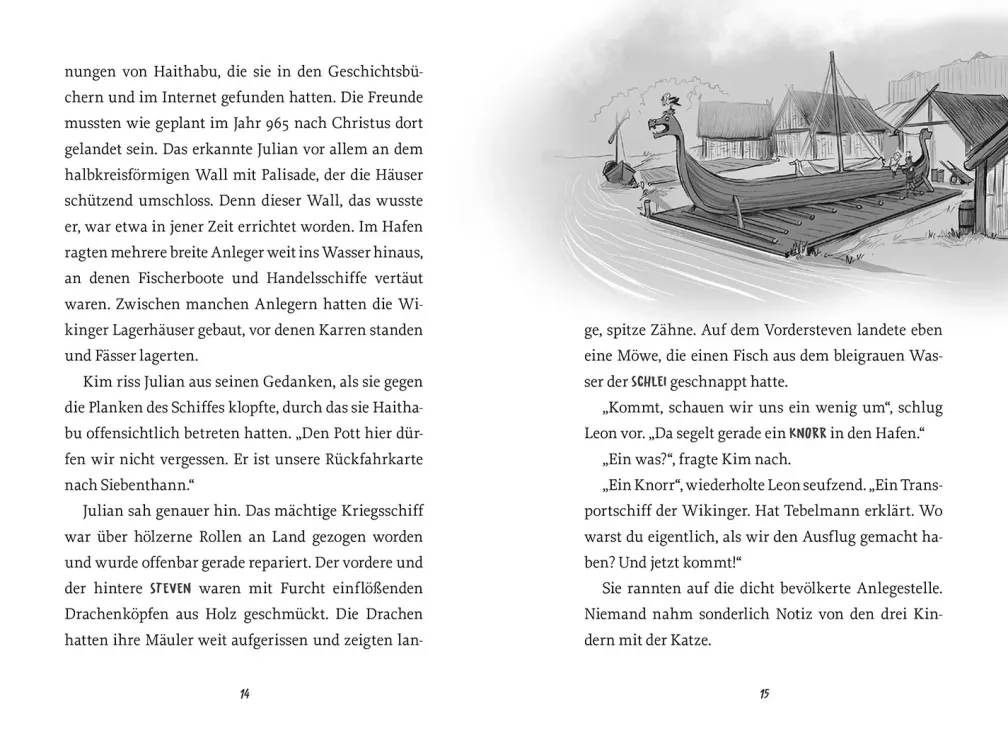 Die Zeitdetektive, 7, Odins magisches Schwert