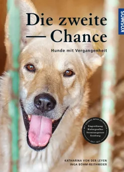 Die zweite Chance