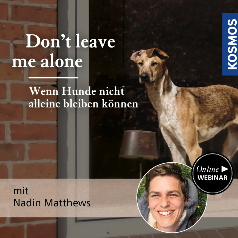 Don`t leave me alone – wenn Hunde nicht allein bleiben können