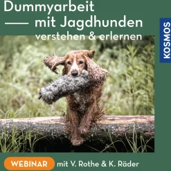 Dummyarbeit mit Jagdhunden