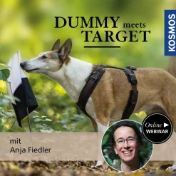 Dummy meets Target