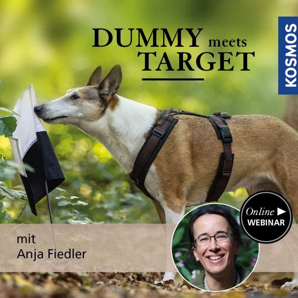 Dummy meets Target