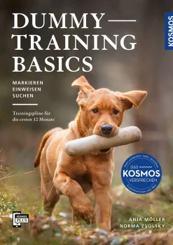 Dummytraining - Basics
