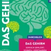 Durchblick Das Gehirn