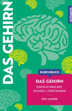 Durchblick Das Gehirn