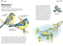 Einfach Gartenvögel
