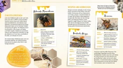 Ein Jahr mit den Bienen