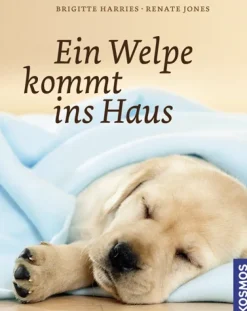 Ein Welpe kommt ins Haus