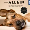 Entspannt allein