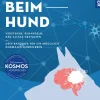 Epilepsie beim Hund