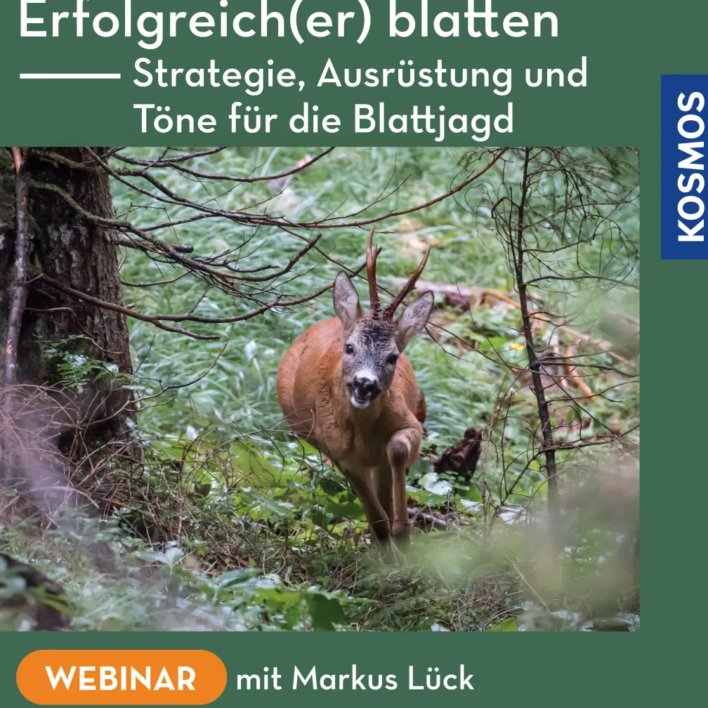 Erfolgreich(er) blatten