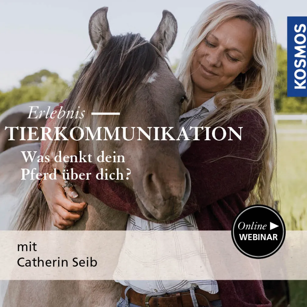 Erlebnis Tierkommunikation – Was denkt dein Pferd über dich?