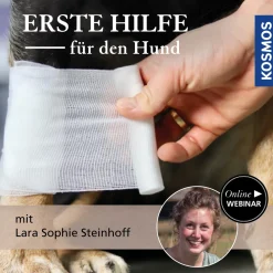 Erste Hilfe für den Hund