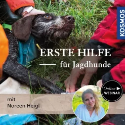 Erste Hilfe für Jagdhunde