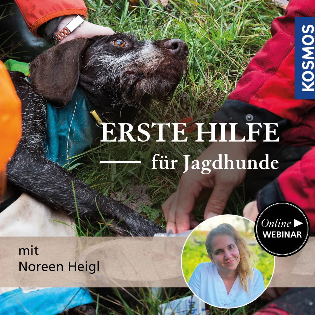 Erste Hilfe für Jagdhunde