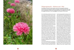 Erwecke die Kraft der Göttin in Dir