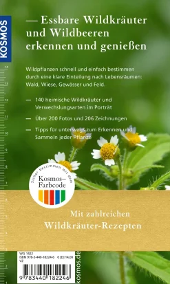 Essbare Wildkräuter und Wildbeeren für unterwegs