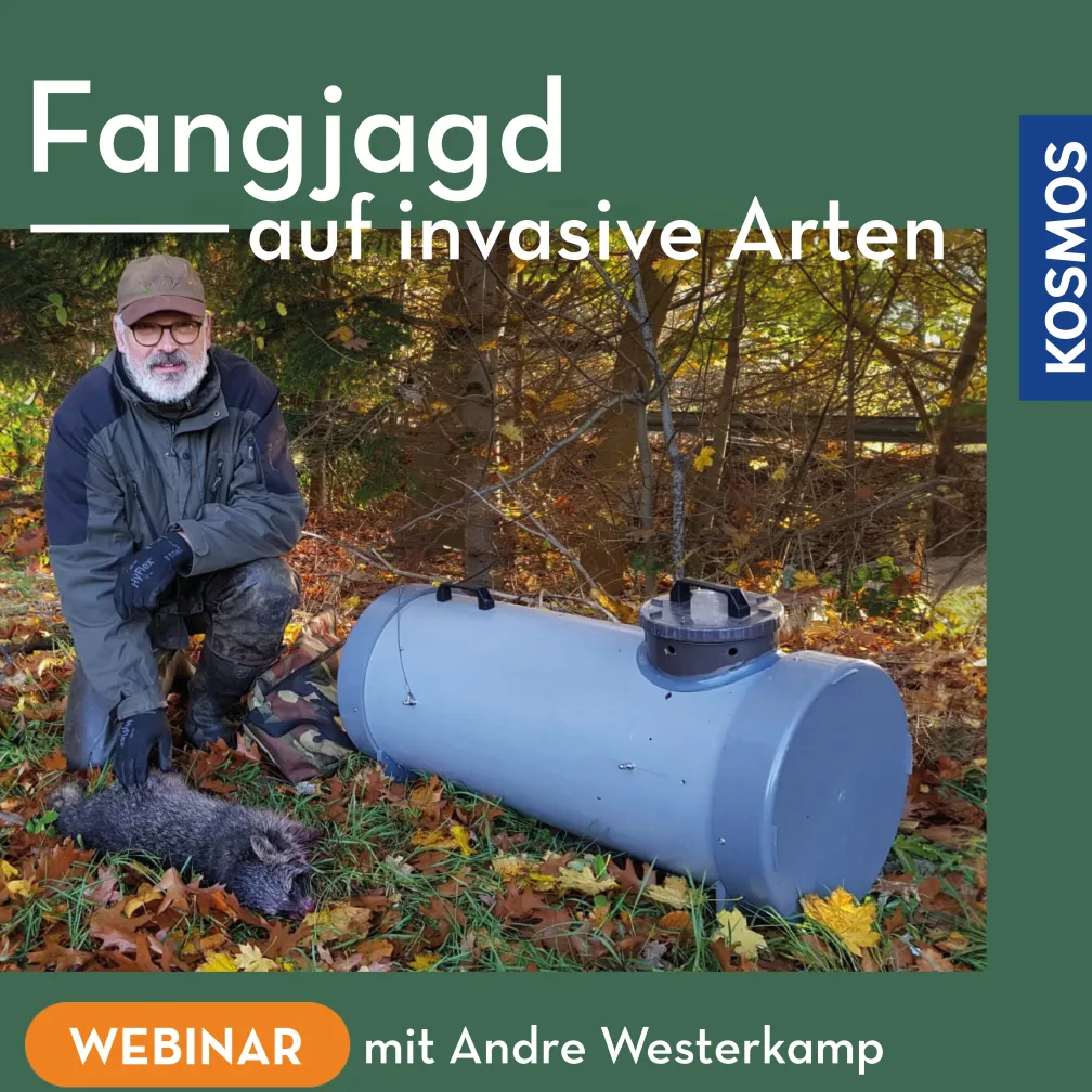 Fangjagd auf invasive Arten