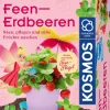 Feen-Erdbeeren