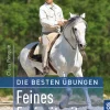 Feines Freizeitreiten