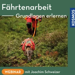 Fährtenarbeit – Grundlagen erlernen