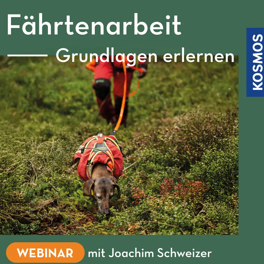 Fährtenarbeit – Grundlagen erlernen