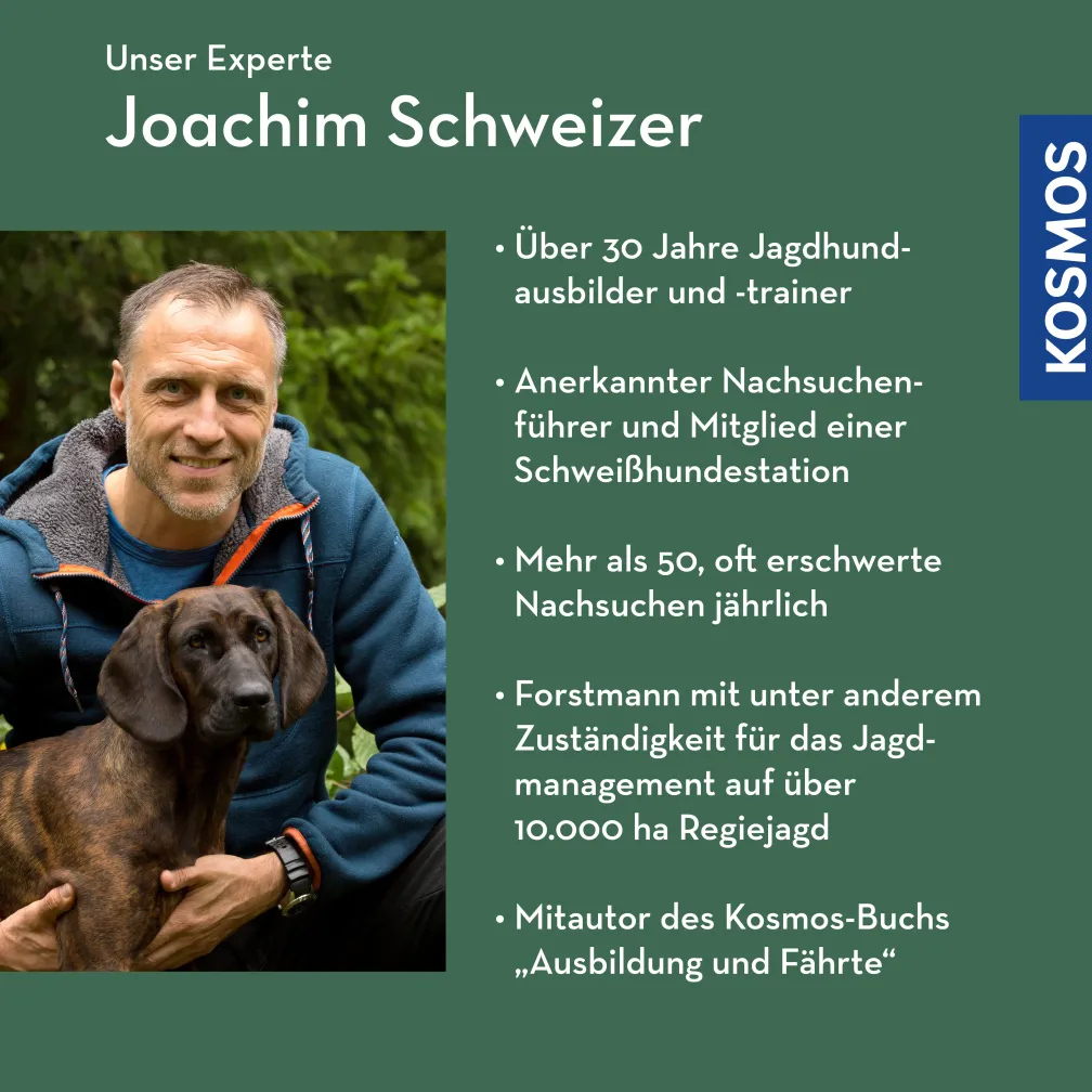 Fährtenarbeit – Grundlagen erlernen