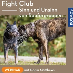 Fight Club – Sinn und Unsinn von Raufergruppen