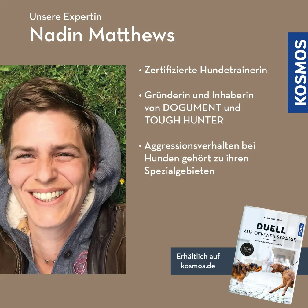Fight Club – Sinn und Unsinn von Raufergruppen