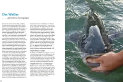 Fischküche für Angler