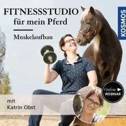 Fitnessstudio für mein Pferd: Muskelaufbau – wie und warum?
