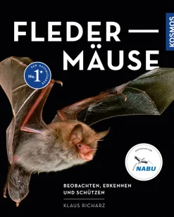 Fledermäuse