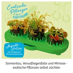 Fleischfressende Pflanzen